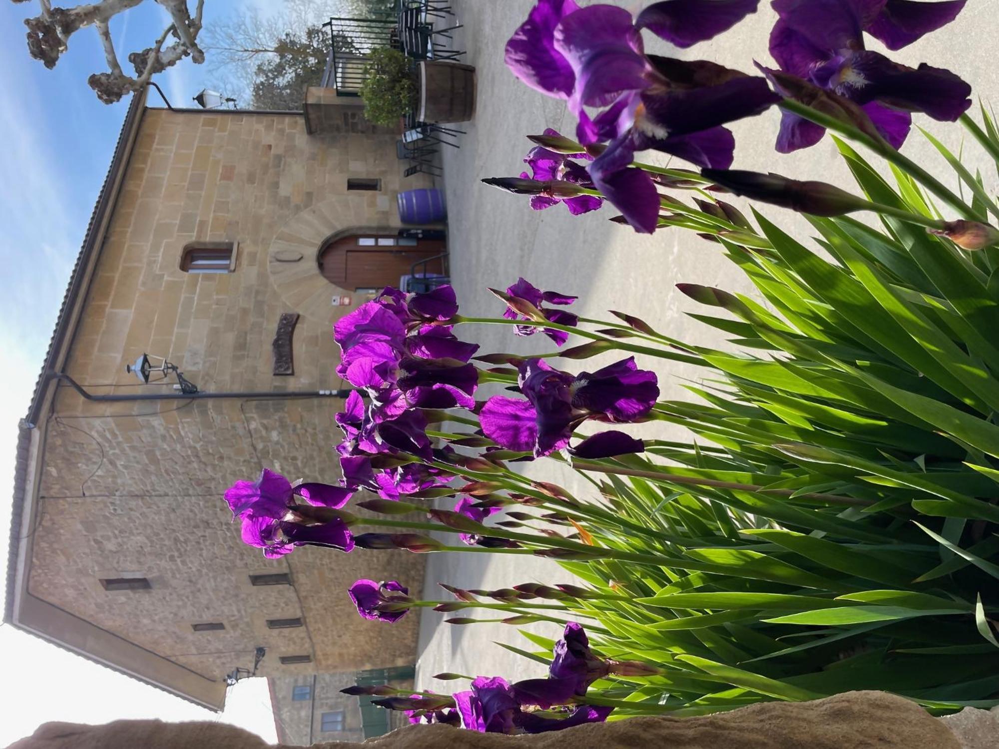 La Posada De Leza La Guardia Esterno foto